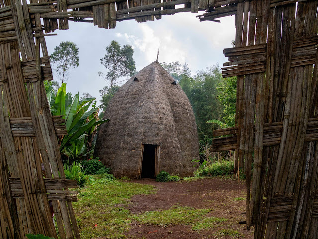Традиционные дома эфиопского племени дорзе
