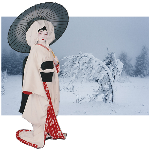 歌惣 かそう の夢路 涙の氷柱が溶けるとき 鷺娘 さぎむすめ という踊り