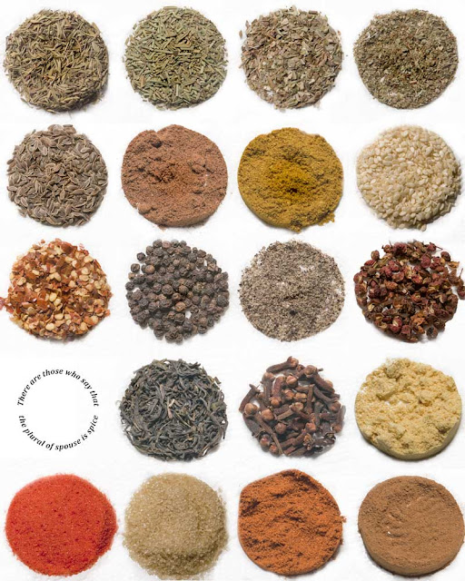 Photo composite of herbs, spices and other condiments. Has text inlaid reading "There are those who say that the plural of spouse is spice"