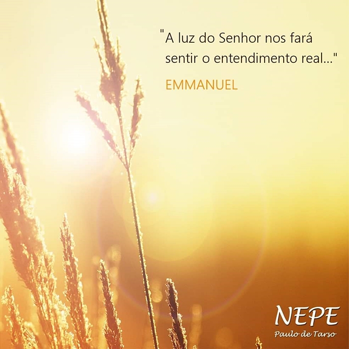 Ser Espírita Emmanuel Livro Palavras de