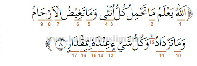 Hukum Tajwid Surat Ar Ra D Ayat 8 Dalam Al Quran Lengkap