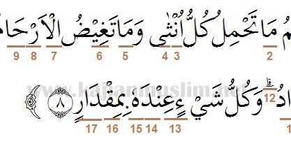 Hukum Tajwid Surat Ar Ra D Ayat 8 Dalam Al Quran Lengkap