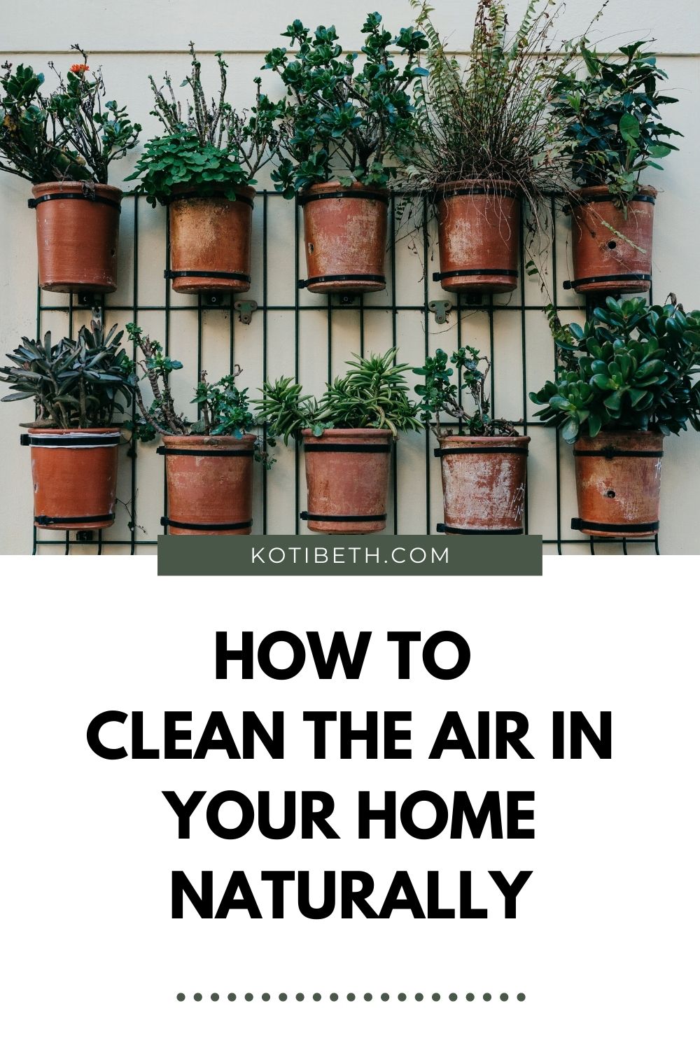 How to Clean the Air in Your Home Naturally Koti Beth