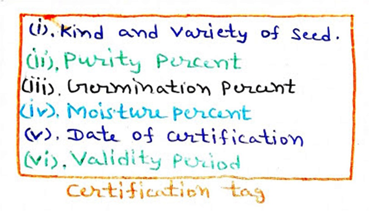 Seed Certification, Phases of Certification, Procedure for Seed