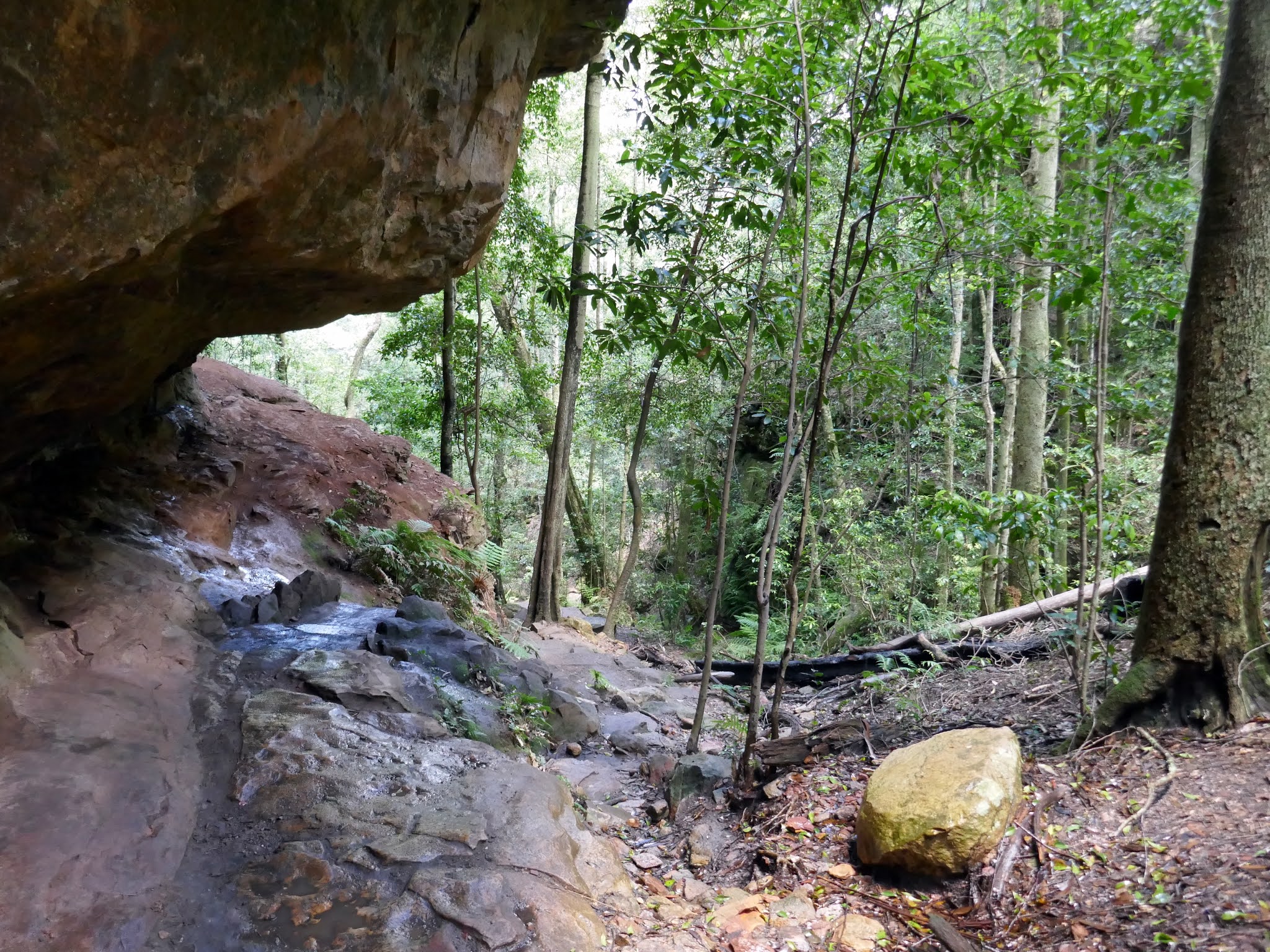 All The Gear But No Idea Govetts Leap, Cliff Top Track, Evans Lookout
