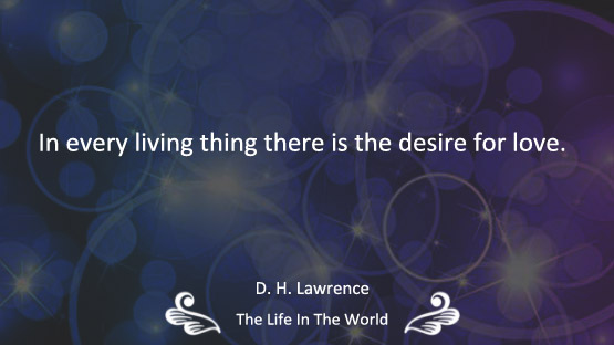 Love Quotes : Part 23 | The Life in The World