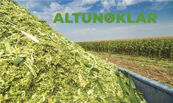 altunoklar kaba yem kuspe silaj ilgin konya