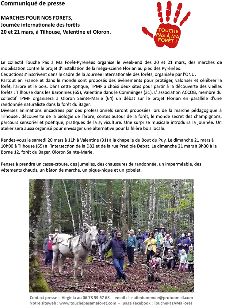 Mobilisation contre un projet de méga-scierie dans les Pyrénées, Pays  Basque