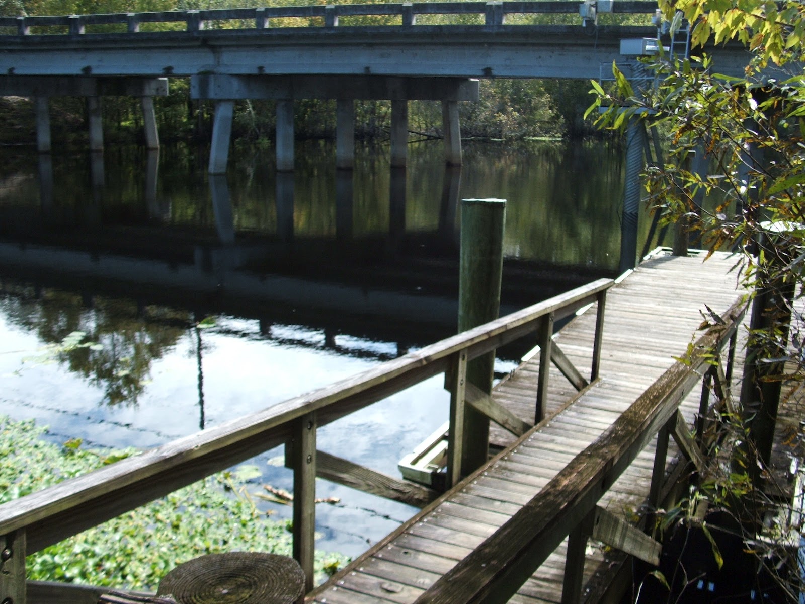 Rediscovering Florida: Morris Bridge Wilderness Park RDF-13