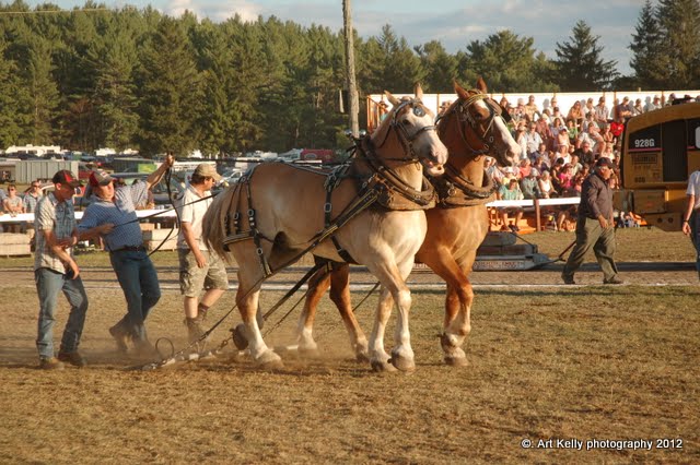Living Off Grid - 45.05 N, 77.85 W: KINMOUNT FAIR - HORSE SHOW
