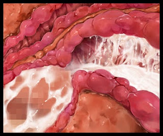 [CG] Welcome to Pussy Paradise