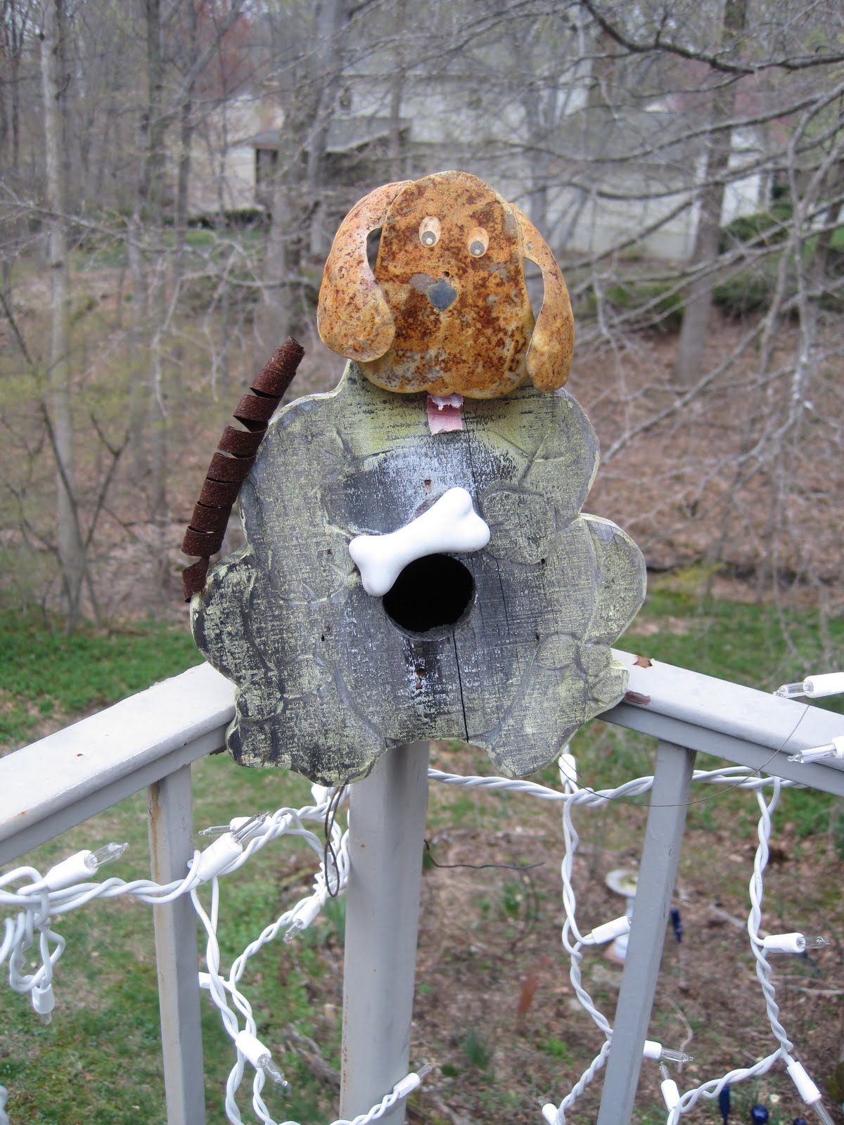 Kris's 2011 A Photo A Day Dog Birdhouse on My Deck April 16, 2011