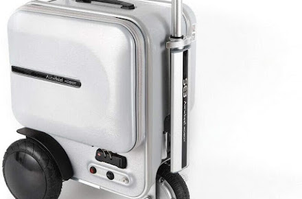 pathfinder luggage set