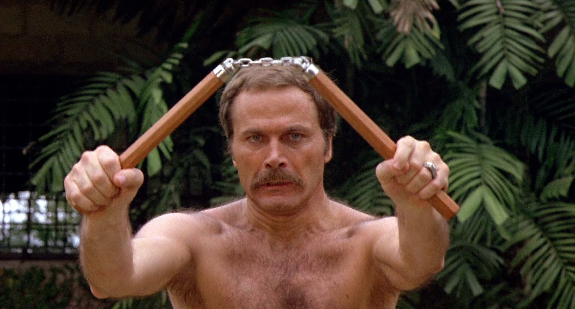 CINE DEL INFRAMUNDO La justicia del Ninja (Enter the Ninja) (1981)