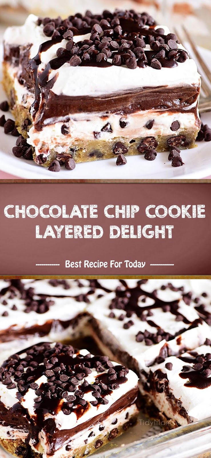 CHOCOLATE CHIP COOKIE LAYERED DELIGHT