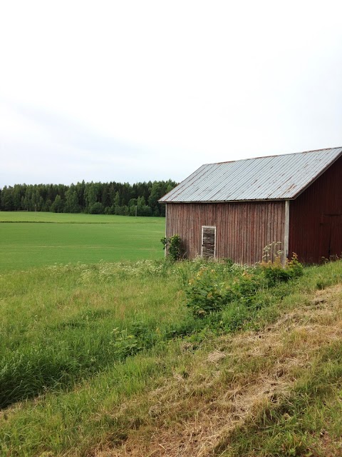 Finland 100 Years of Independence!
