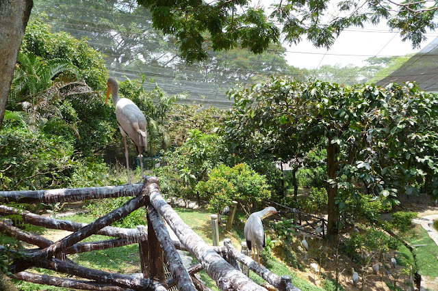 Bird Park