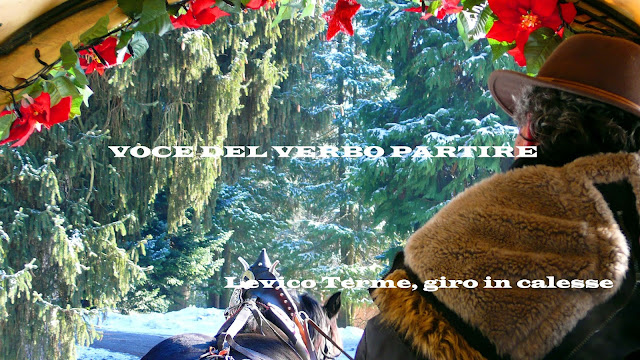 MERCATINI DI NATALE TRA I BORGHI DEL TRENTINO: IN CALESSE A LEVICO TERME
