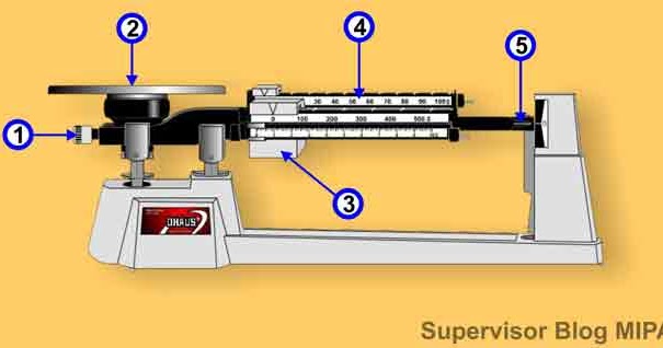 20+ Koleski Terbaru Gambar Sketsa Perawakan Sirih Dan