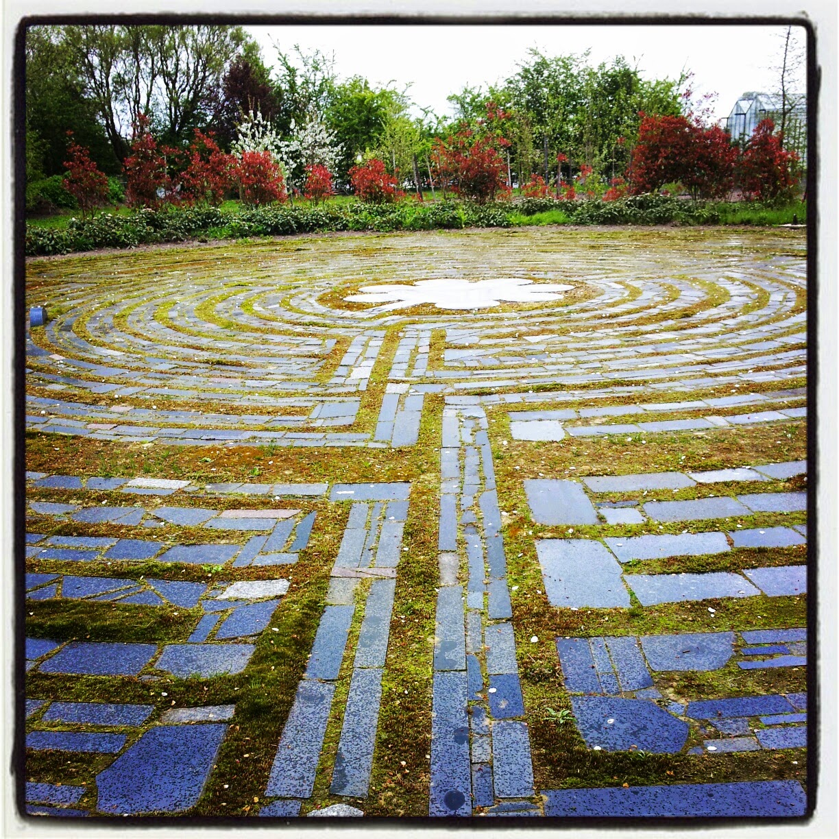 In mijn Sas met Hocus-Pocus-Focus: WEEKENDTIP - het Maria Labyrinth in ...