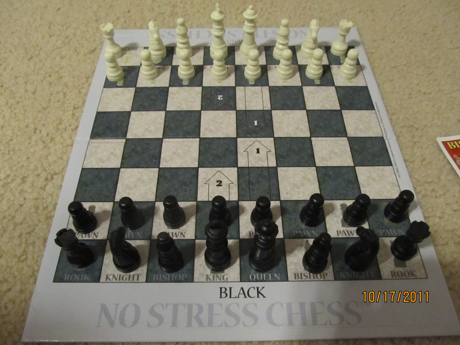 horsing-around-at-home-no-stress-chess