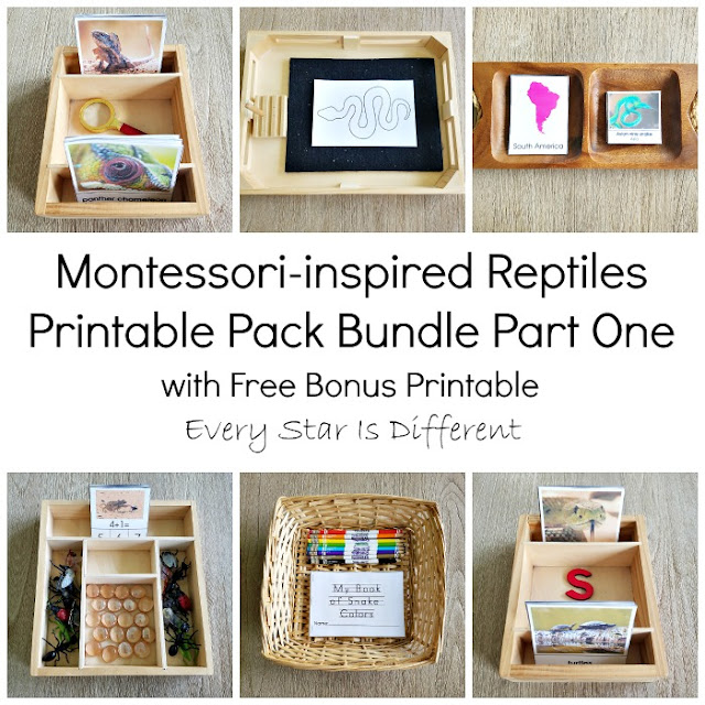 Montessori-inspired Reptiles Printable Pack Bundle Part One