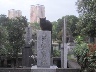 Ueno: Cementerio cerca de la estación Nippori!