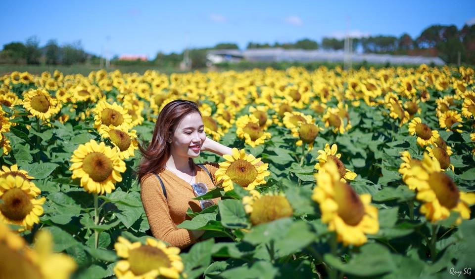 Gợi ý chi tiết lịch trình tham quan du lịch Đà Lạt trong 1 ngày