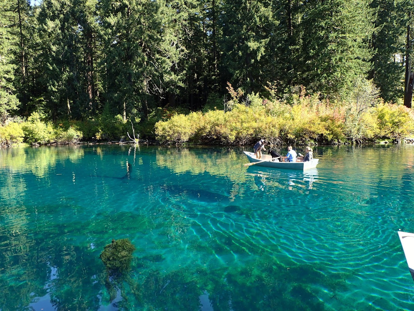 Casing Oregon Not Just Another Clear Lake