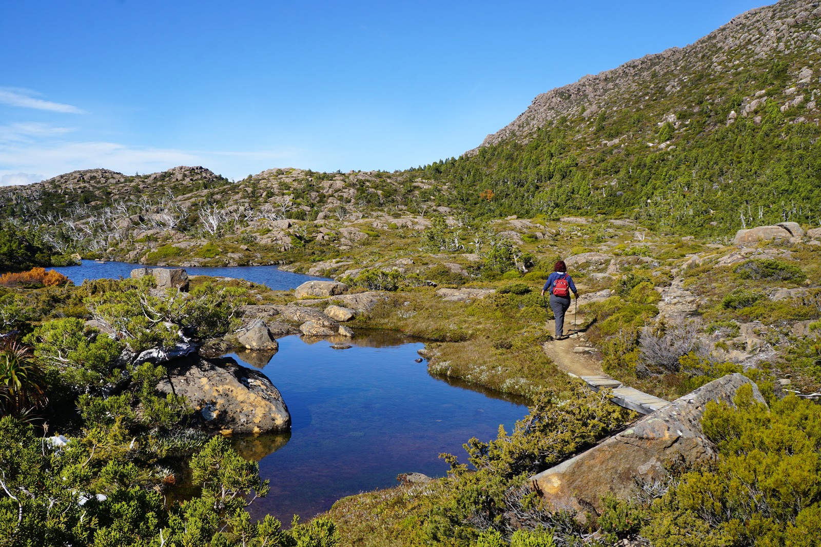 Tarn Shelf Circuit (Mount Field National Park) The Long Way's Better