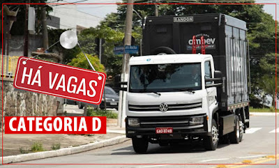 vaga para motorista categoria d em são paulo