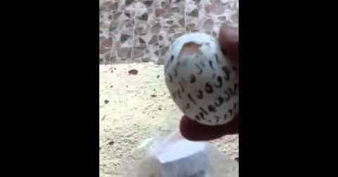 رمي البيض على باب المنزل