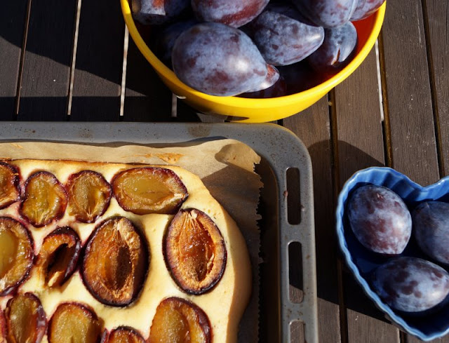 Schwedischer Pflaumenkuchen vom Blech: So einfach und lecker! Gibt es etwas Leckereres als einen schwedischen Pflaumenkuchen, noch warm und duftend vom Blech? Auf Küstenkidsunterwegs verrate ich Euch ein tolles Rezept, bei dem Ihr Zimt und Vanillezucker ganz nach Belieben einsetzen könnt. Und der Pflaumen- bzw. Zwetschgenkuchen geht ganz schnell und einfach, weil er ohne Hefe auskommt und Ihr den Rührteig nur aufs Blech streichen müsst!