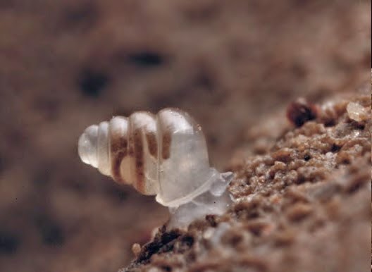 Hayat Renklerim: Mayıs 2014