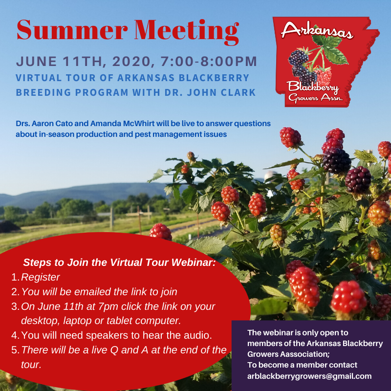 Team Rubus University of Arkansas Summer Meeting June 11th 2020