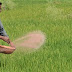 World Soil Day was observed on 5 December