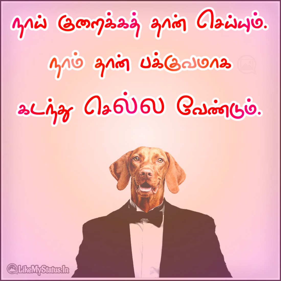 20 வாழ்க்கை ஸ்டேட்டஸ் | Tamil Whatsapp Status