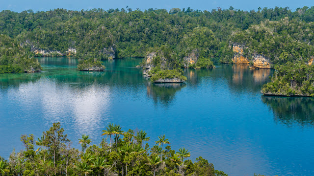 Overview of Raja Ampat -Travel Experience