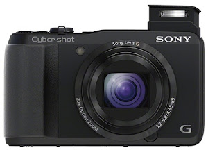 Sony Cyber-shot DSC-HX20V , click image