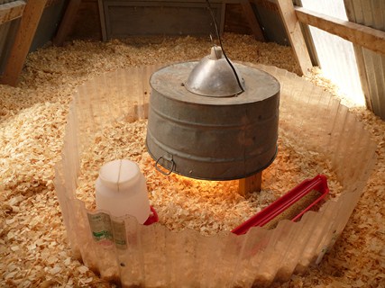 Homestead Hill Farm: Special Consideration