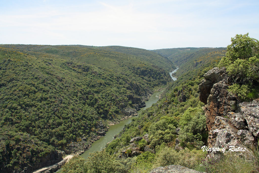 Saltos del Duero: El Castro