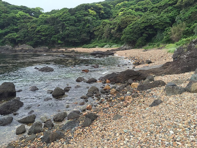 石拾い　海　静岡県菖蒲沢海岸