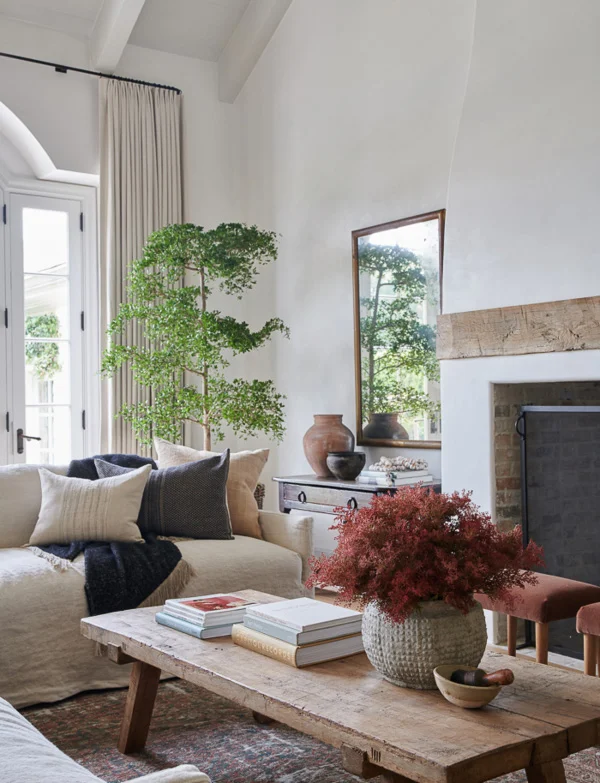 Organic living room design
