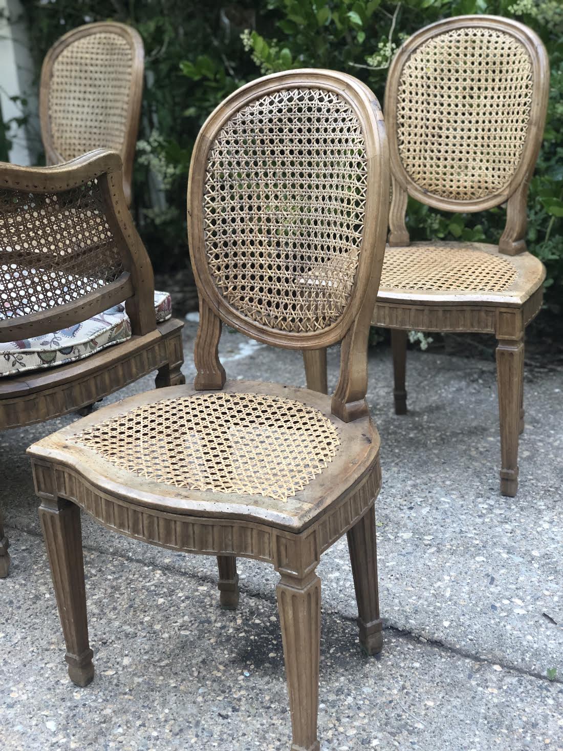 Cane Chairs Craigslist Shopping Tips French Country Cottage