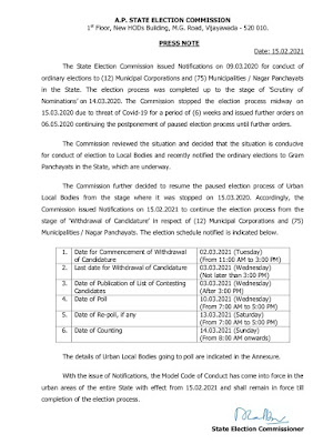 Municipal elections essay 05 picture