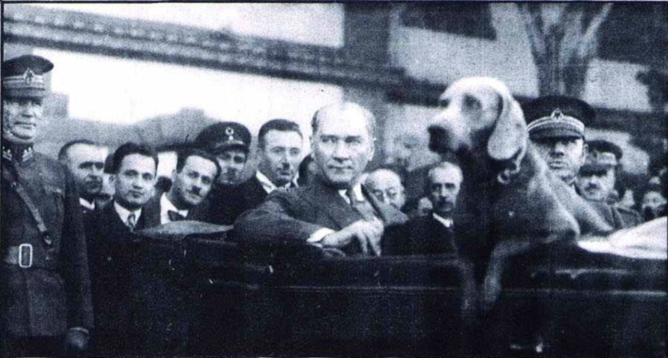 Ataturk Un Kopegi Foks
