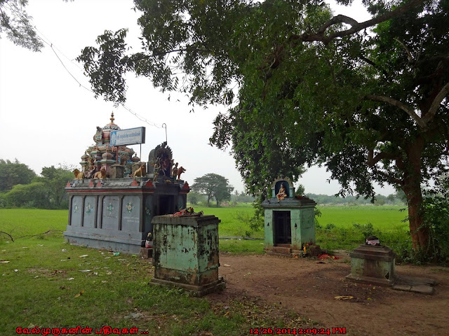 Mariamman Koil Vazhakollai