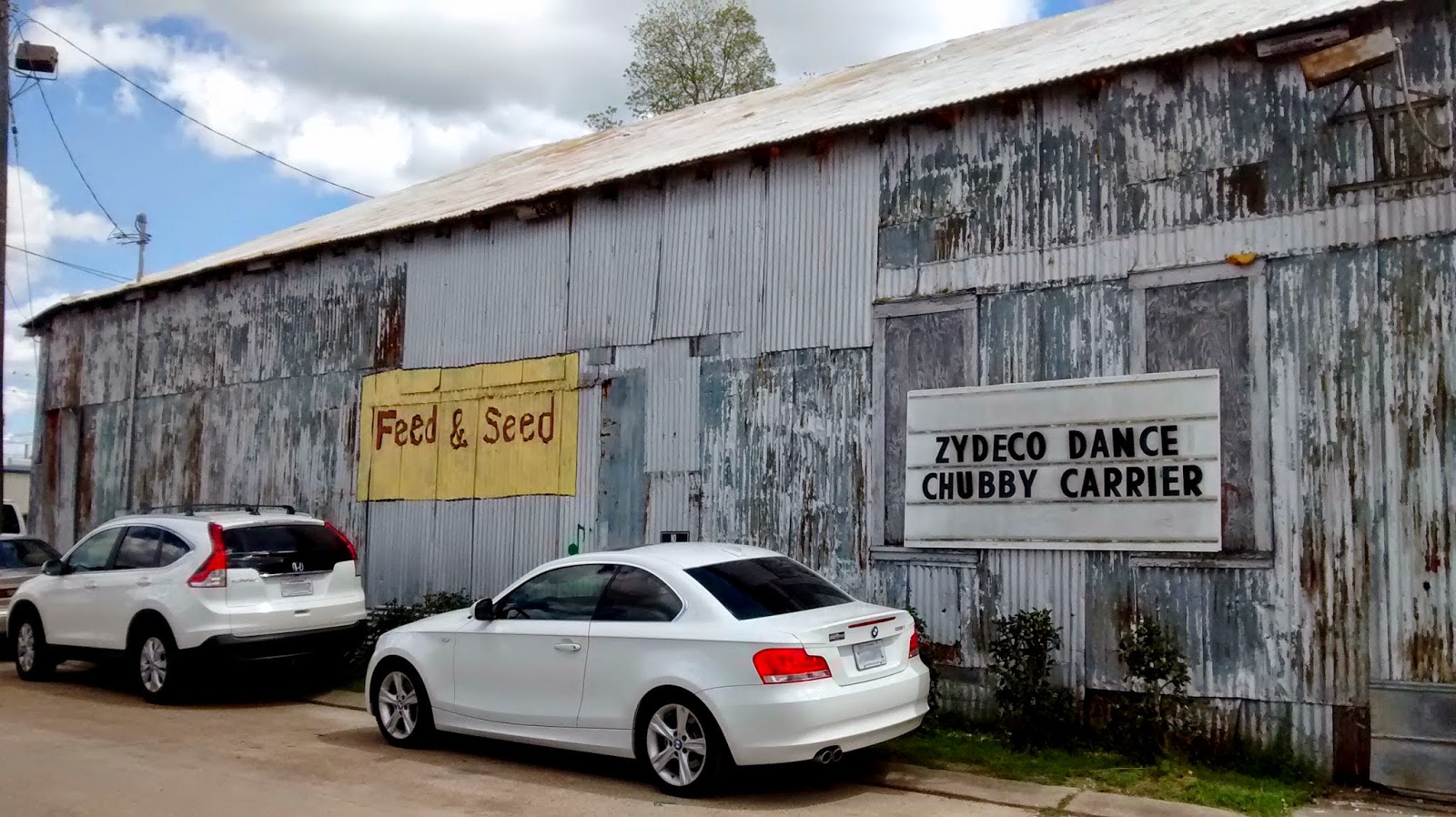 Living Rootless Lafayette ZydeCO at the Feed n Seed