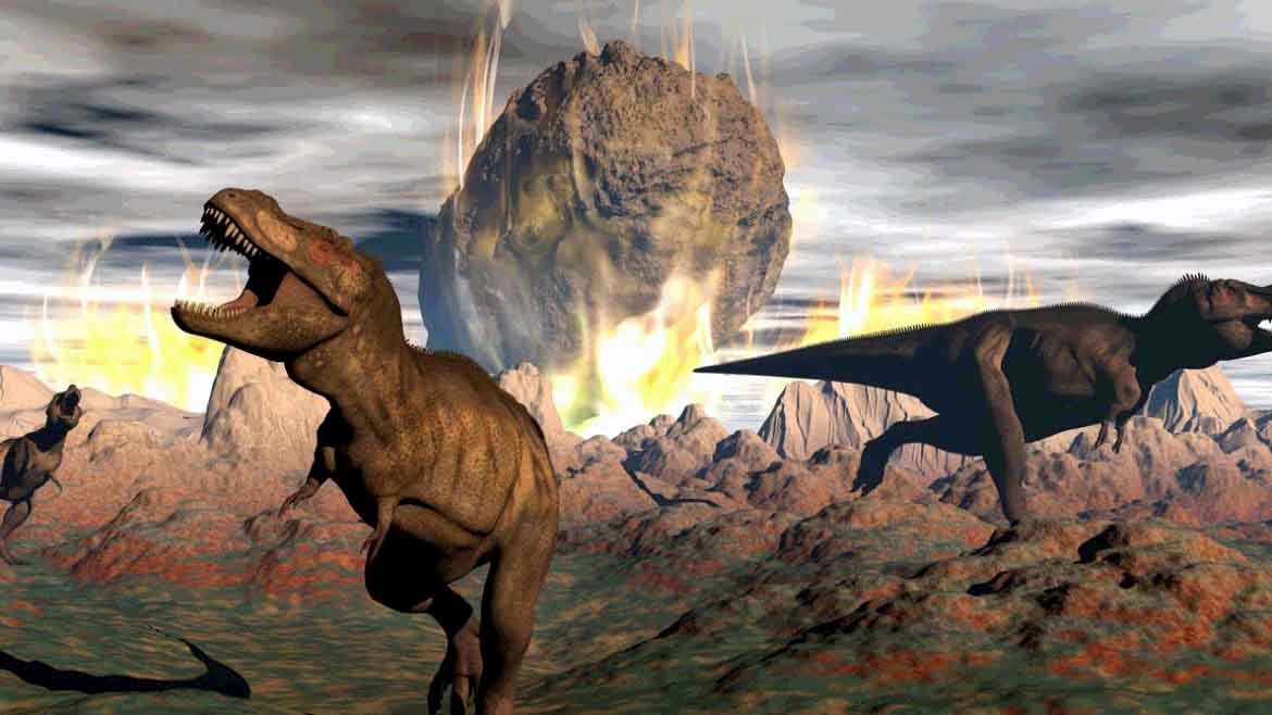 🐈 Mesozoic era plant life. Mesozoic Era Animals List: Animals That