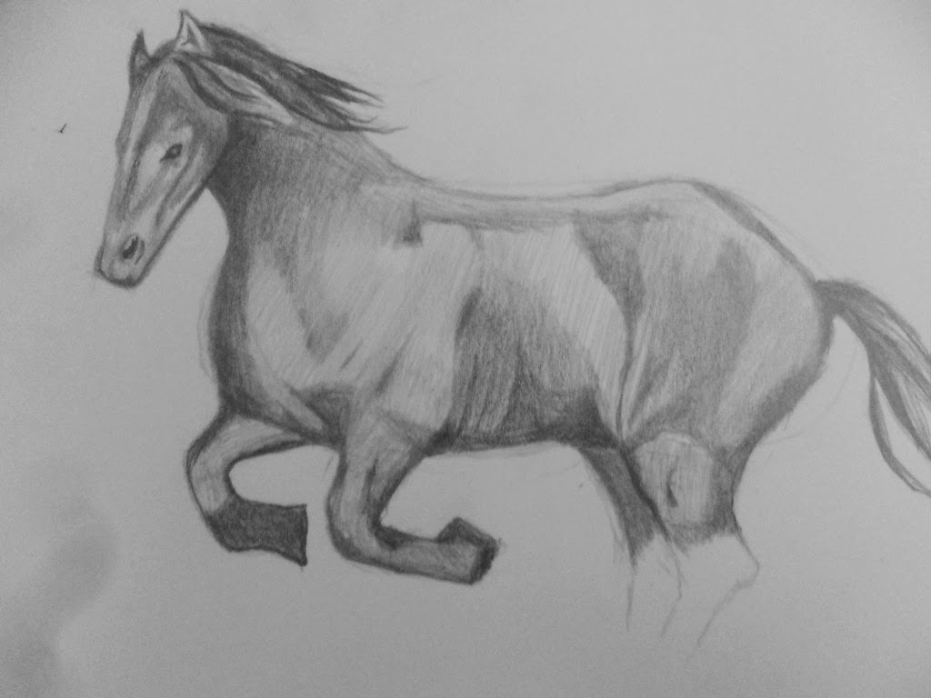 Arte vício: Tutorial - Como desenhar cavalo